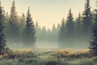 Dépôt de Maringues / Riom